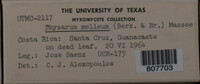 Image Associated With the Occurence